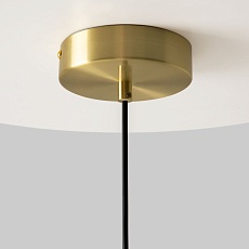 Подвесной светильник Maytoni MOD362PL-L10BG3K 2