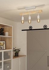 Потолочный светильник Eglo Townshend 44082 1