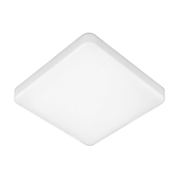 Потолочный светодиодный светильник Elektrostandard DLS043 10W 4200K a047941 Фото № 1