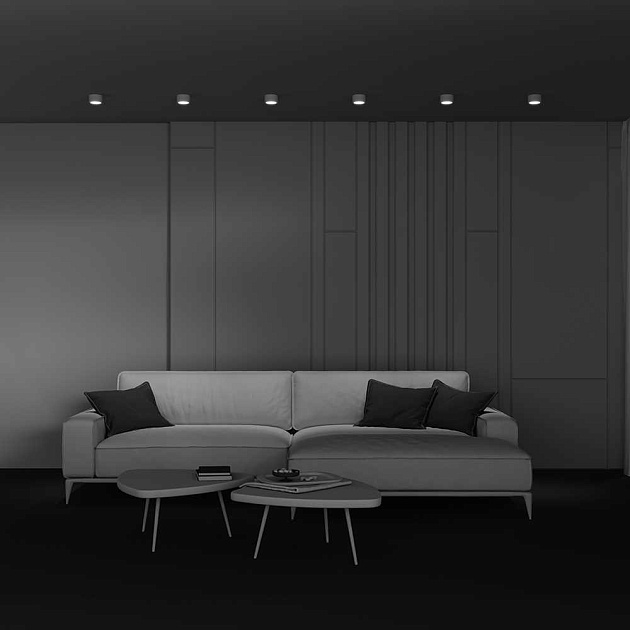 Потолочный светильник Maytoni Technical C001CL-GX53-W Фото № 8