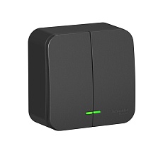 Выключатель двухклавишный Systeme Electric Blanca 10A 250V с подсветкой антрацит BLNVA105116