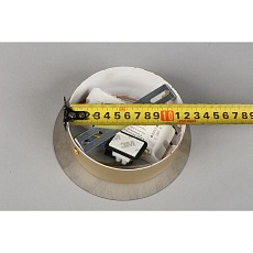 Потолочная светодиодная люстра Aployt Delfin APL.774.07.54 2