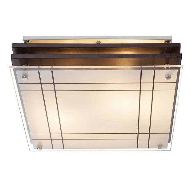 Потолочный светильник Globo Kadavu 48089 Фото № 1