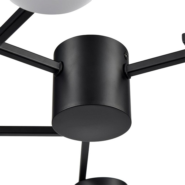 Потолочная люстра Lumion Comfi Dabra 8186/6C Фото № 5