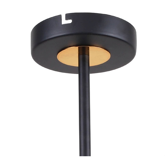 Потолочная люстра F-Promo Viator 2558-8P изображение 3 Потолочная люстра F-Promo Viator 2558-8P Фото № 3