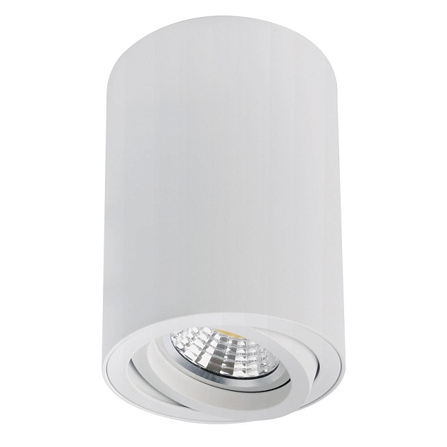 Точечный накладной светильник Arte Lamp SENTRY A1566PL-1WH Фото № 1