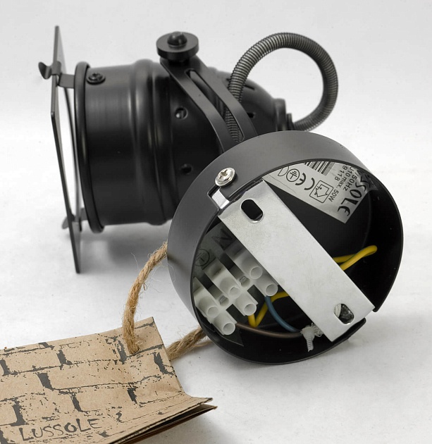 Спот Lussole Henry GRLSP-9118 Фото № 3