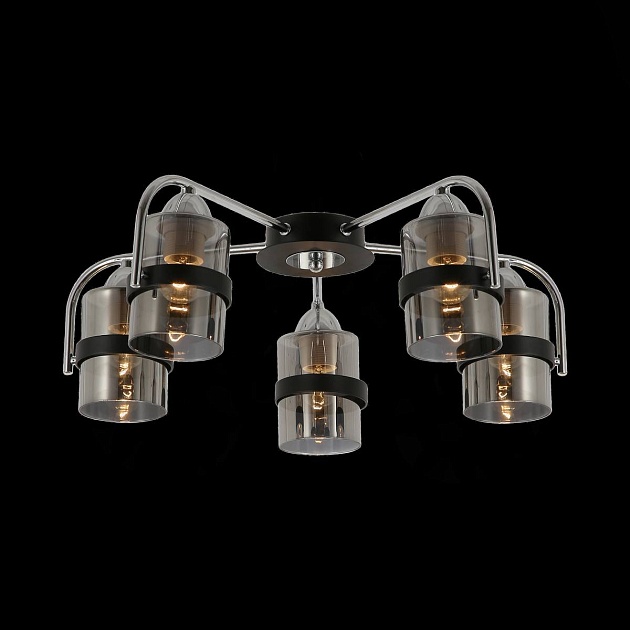 Потолочная люстра Evoluce Fiumo SLE102002-05 Фото № 2