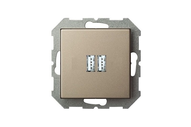 Розетка 2xUSB Liregus Epsilon шампань 28-3242 изображение 5 Розетка 2xUSB Liregus Epsilon шампань 28-3242 Фото № 5