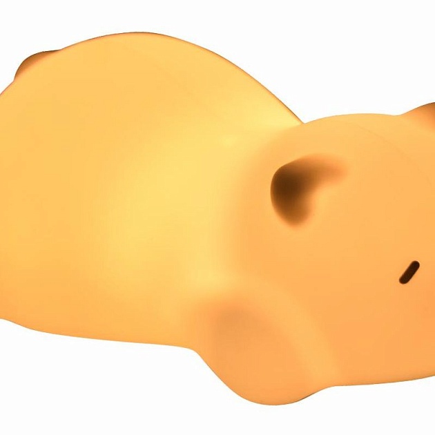 Ночник LEEK LE062101-0019 Фото № 1