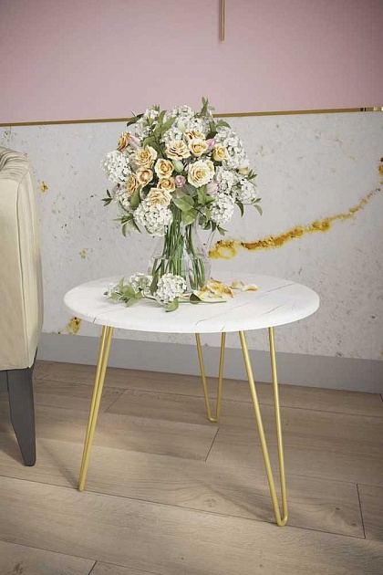 Журнальный стол Мебелик Рид Голд 430 006693 изображение 7 Журнальный стол Мебелик Рид Голд 430 006693 Фото № 7