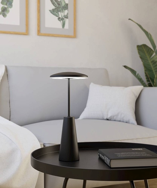 Уличный светодиодный светильник Eglo Piccola 900925 Фото № 4