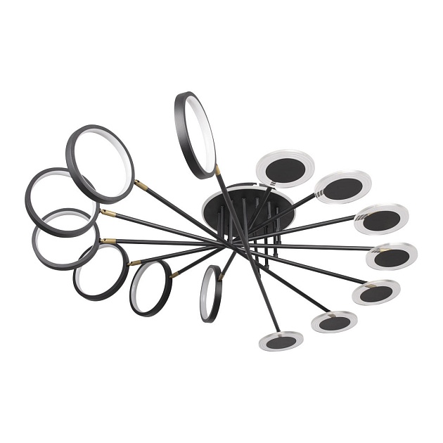 Потолочная светодиодная люстра Loft IT Megan 10164L Black изображение 1 Потолочная светодиодная люстра Loft IT Megan 10164L Black Фото № 1