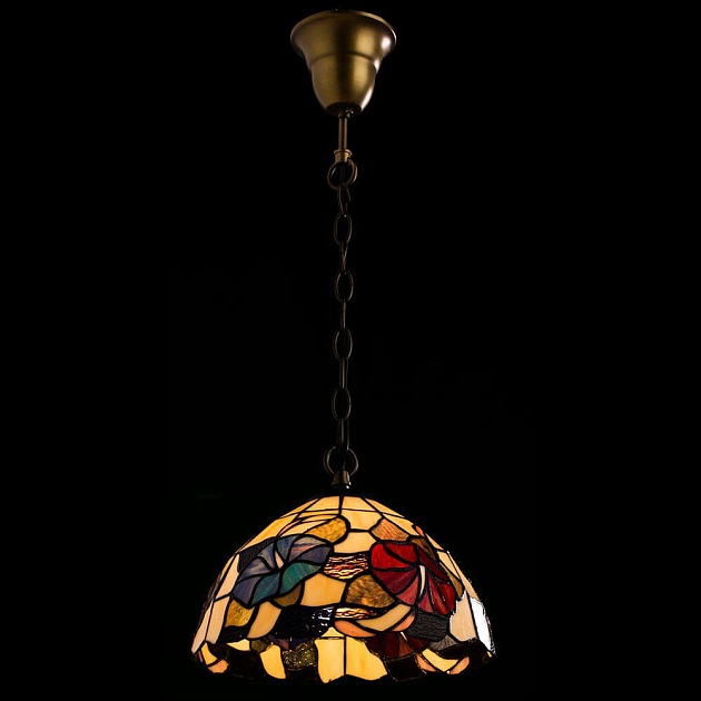 Подвесной светильник Arte Lamp Florizel A3166SP-1BG Фото № 2
