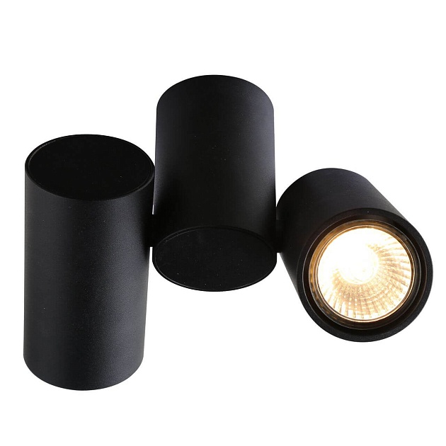 Потолочный светильник Divinare Gavroche 1354/04 PL-2 изображение 1 Потолочный светильник Divinare Gavroche 1354/04 PL-2 Фото № 1