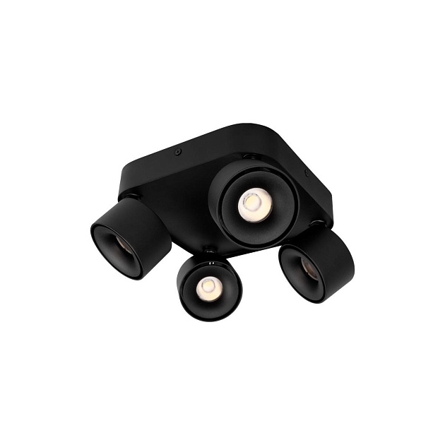 Спот Loft IT Case 10326 Black Фото № 1