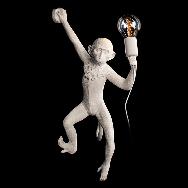 Настенный светильник Loft IT Monkey 10314W/B Фото № 2