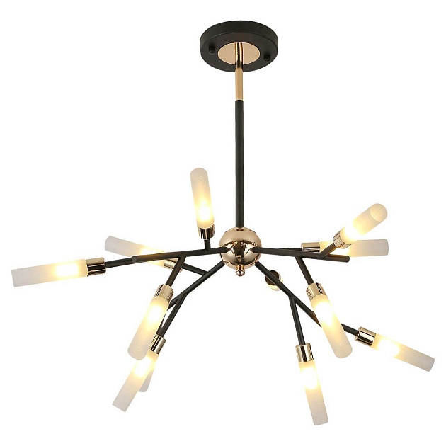 Подвесная люстра Lussole Loft Astoria GRLSP-8332 изображение 1 Подвесная люстра Lussole Loft Astoria GRLSP-8332 Фото № 1