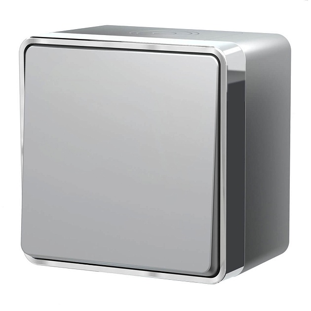 Выключатель одноклавишный влагозащищенный Werkel Gallant серебряный W5010206 4690389167089 изображение 1 Выключатель одноклавишный влагозащищенный Werkel Gallant серебряный W5010206 4690389167089 Фото № 1