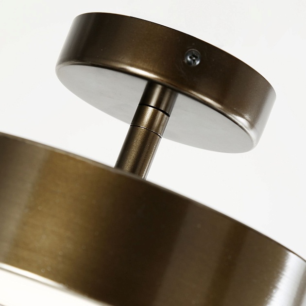 Потолочный светильник F-Promo Atma 3060-2P Фото № 3