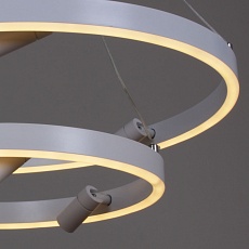 Подвесная светодиодная люстра Reluce 02476-0.4-6+4 3