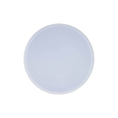 Потолочный светодиодный светильник Loft IT Axel 10002/12 white 1