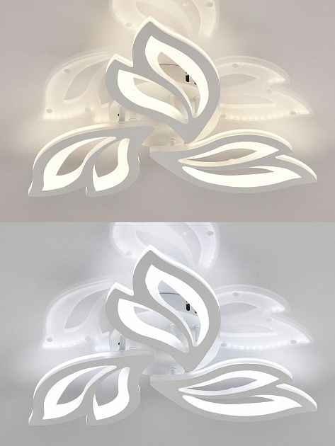 Потолочная светодиодная люстра Natali Kovaltseva LED LAMPS 81426 изображение 5 Потолочная светодиодная люстра Natali Kovaltseva LED LAMPS 81426 Фото № 5