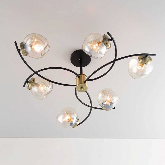 Потолочная люстра Citilux Фабула CL110165 Фото № 28