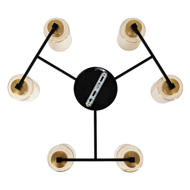 Потолочная люстра Arte Lamp Leo A7027PL-6BK изображение 5 Потолочная люстра Arte Lamp Leo A7027PL-6BK Фото № 5