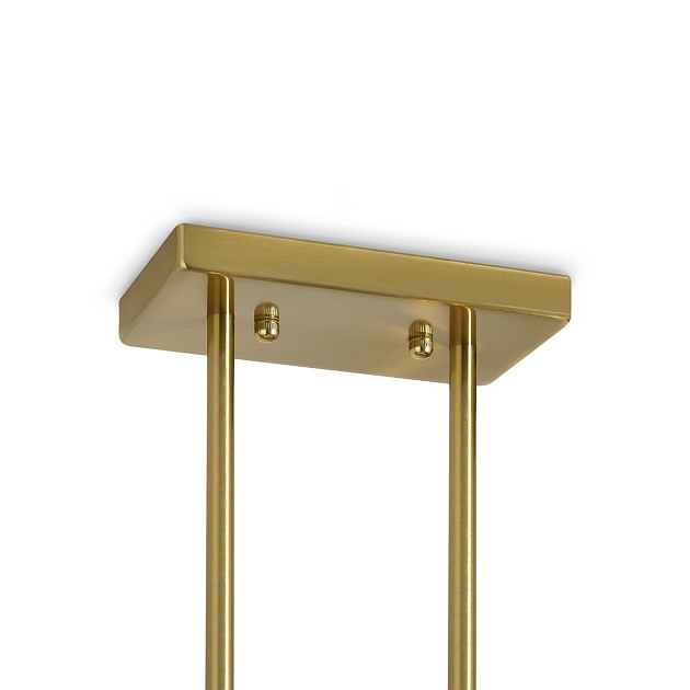 Подвесная люстра Freya Firefly FR5427PL-06BS Фото № 2