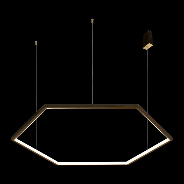 Подвесной светодиодный светильник Loft IT Ring 10016XL Фото № 3