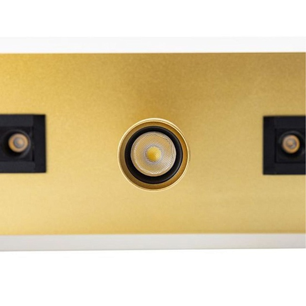 Светодиодный спот Arte Lamp Pisces A2220PL-3GO Фото № 3