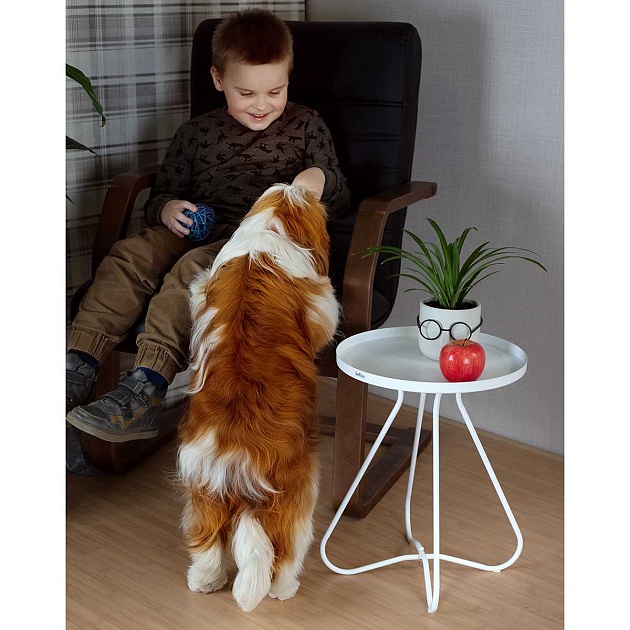 Кофейный стол Мебелик SHT-CT3 007888 Фото № 18