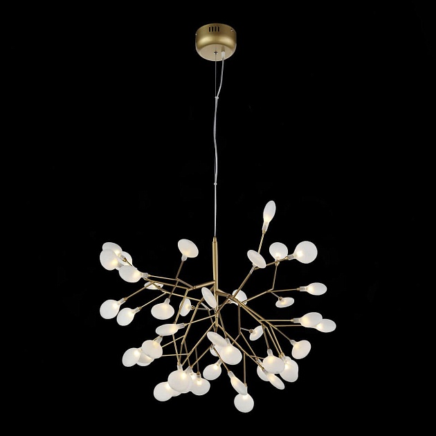 Подвесная люстра ST Luce Riccardo SL411.223.45 изображение 3 Подвесная люстра ST Luce Riccardo SL411.223.45 Фото № 3