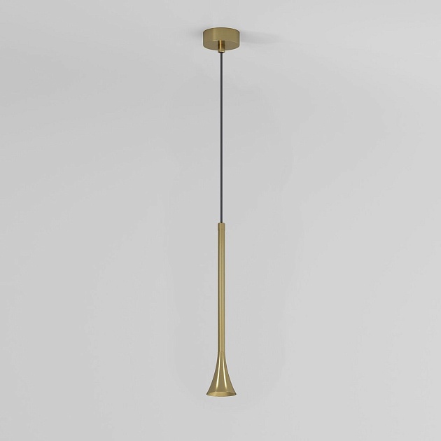 Подвесной светодиодный светильник Elektrostandard Hall 50314 LED a068821 изображение 4 Подвесной светодиодный светильник Elektrostandard Hall 50314 LED a068821 Фото № 4