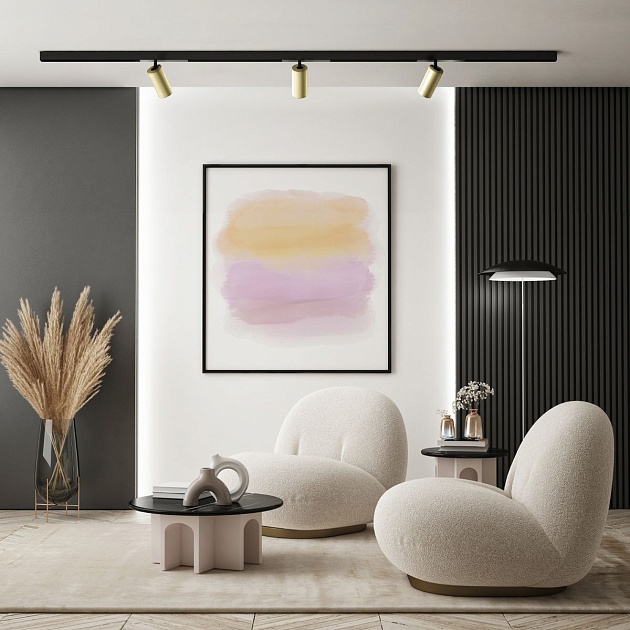 Трековый светодиодный светильник Denkirs Smart Spot DK8020-BG Фото № 8