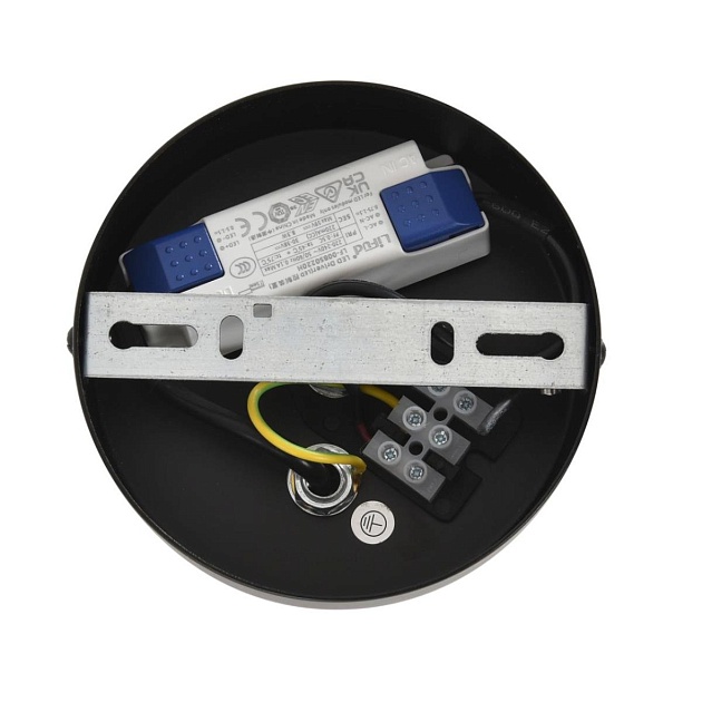 Подвес Lumion CAMOMILE 8301/10L Фото № 4