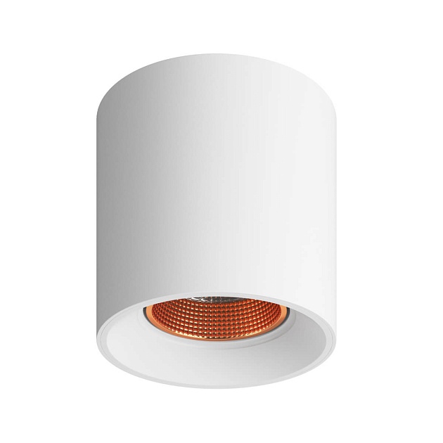 Накладной светильник Denkirs DK3090-WBR Фото № 1