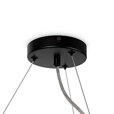 Подвесная люстра Maytoni Dallas MOD545PL-25B 5