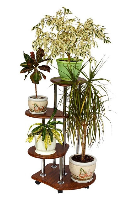 Подставка для цветов Калифорния Троечка орех 5695716605 Фото № 3