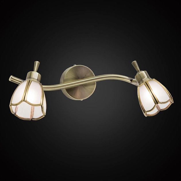 Спот Citilux Альтен CL522521 Фото № 4