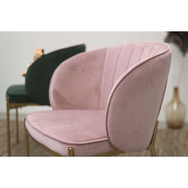 Кухонный стул Bergenson Bjorn Coral BEAR-CO10815 изображение 18 Кухонный стул Bergenson Bjorn Coral BEAR-CO10815 Фото № 18