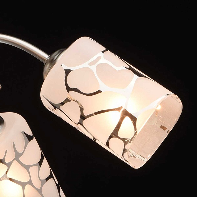 Потолочная люстра MW-Light Олимпия 261019505 Фото № 10