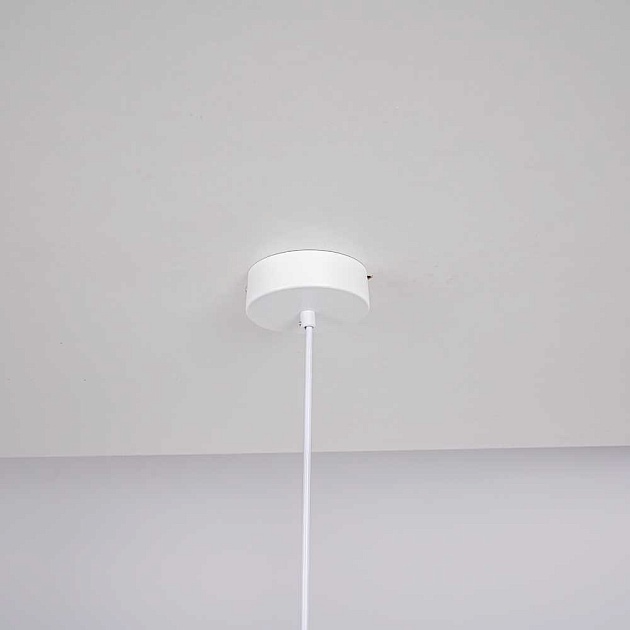 Подвесной светильник Imperium Loft Sota 178039-26 Фото № 2