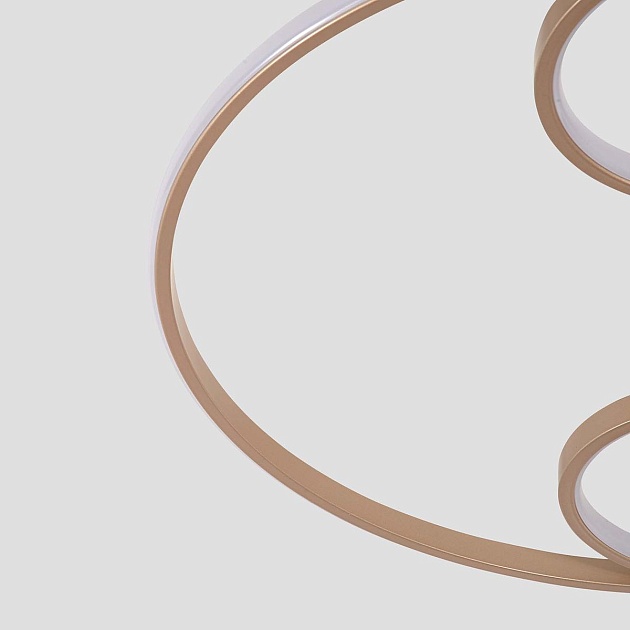 Потолочный светодиодный светильник F-Promo Campus 4681-4C Фото № 3