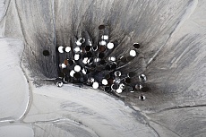 Холст Tomas Stern 85016 2