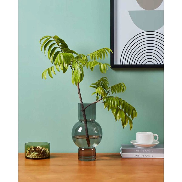 Ваза декоративная Eglo AMPITABE 421231 Фото № 2