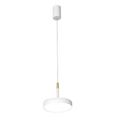 Подвесной светодиодный светильник Favourite Piller 4505-1P