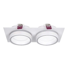 Встраиваемый светильник Favourite 4650-2C