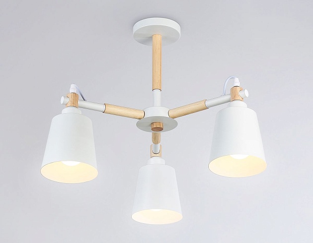 Потолочная люстра Ambrella light Traditional Loft TR82204 изображение 7 Потолочная люстра Ambrella light Traditional Loft TR82204 Фото № 7